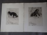 deux dessins en noir et blanc représentant un chat et un chien