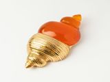 an image of a gold and orange shell broochle on a white surface