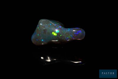 un oplite noir avec des mouchetures vertes et bleues sur fond noir