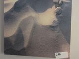 une photo accrochée au mur d'une salle de bains dans laquelle se trouve des toilettes