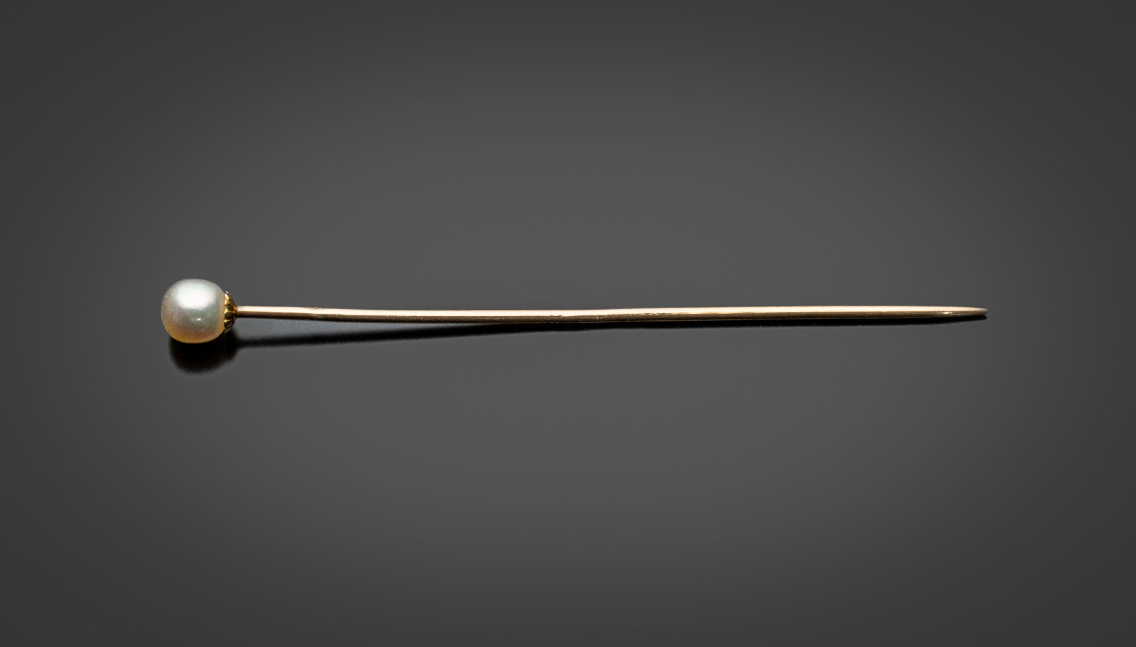 Objets d'art & Curiosités