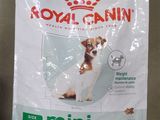 un sac de croquettes Royal Canin posé sur un canapé