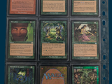 a lot of cards that are in a plastic case
