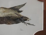 a picture of a painting of a pheasant on the wall