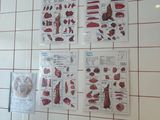 a wall with pictures of meat and vegetables on it
