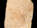 a close up of a rock on a black background