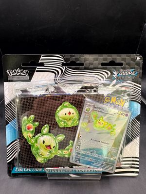 une boîte de cartes à collectionner Pokémon et un porte-cartes
