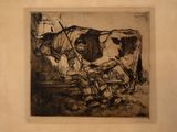 drawing of a man milking a cow in a barn