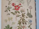 a picture of a book with a bunch of flowers on it