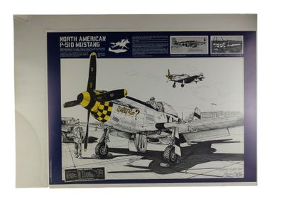 a picture of a picture of a model of a north american p - 51 mustang