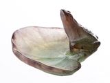 a glass bowl with a fish on it sitting on a table