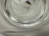 a glass of water with a bug inside of it