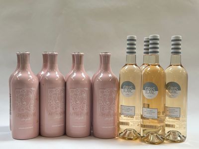 six bouteilles de vin sont alignées sur une surface blanche