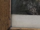 a picture of a picture of a tree in a picture frame