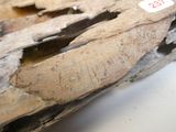 un morceau de bois coupé en deux