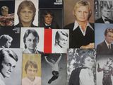 de nombreuses photos différentes d'hommes et de femmes accrochées au mur
