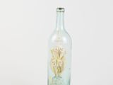 a glass bottle with a flower inside of it on a white surface