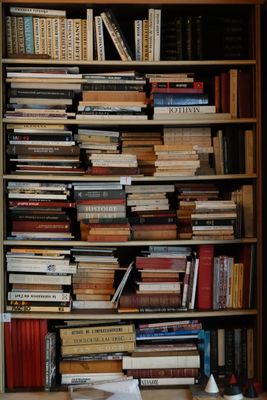 LOT de 1500 livres (au rdc). Histoire de l'Art, revues, psyc… - Photo 1