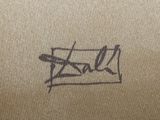 an image of a close up of a drawing on a piece of paper