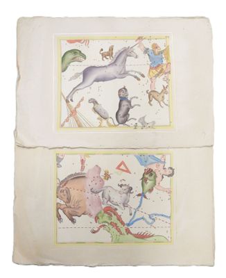 two drawings of animals and birds on a sheet of paper