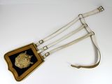 a belt with a gold lion on it on a white surface