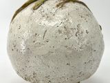 a white ball with a green stem on top of it