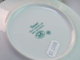 a white plate with a green and white design on it