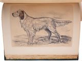 an old book with a drawing of a dog on it