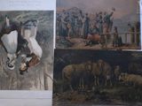pictures of people and animals on the pages of a book