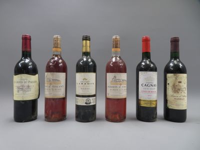 6 bouteilles dont Château Labadie Médoc 2008, Château Cagnas…
