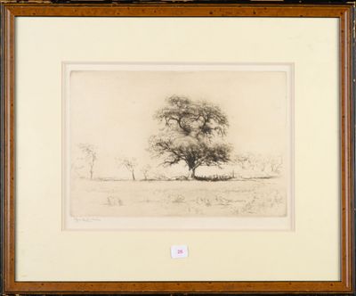 an image of a drawing of a tree in a field