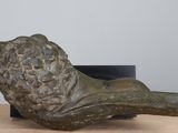 statue of a lion head on a wooden table next to a black planter