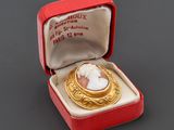 une photo d'une broche camée dorée et blanche dans un écrin rouge