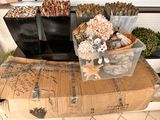 many different types of snacks on display in a store