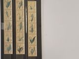 a picture of a painting on the wall of a room