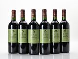 six bouteilles de vin sont alignées sur une surface blanche