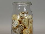 a glass jar filled with sea shells on a table