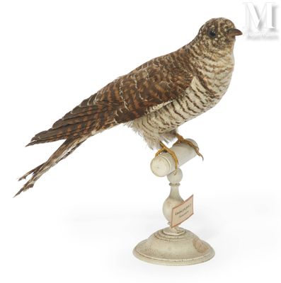 un oiseau perché au sommet d'un piédestal