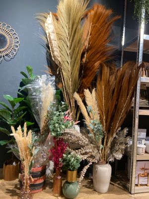 de nombreuses variétés de fleurs et de plantes sur la table