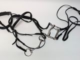 un harnais en cuir noir muni d'une boucle en métal et d'une boucle argentée
