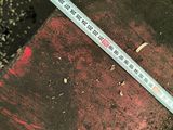 a person holding a measuring tape on the ground