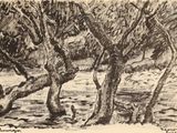 une image représentant un dessin d'un groupe d'arbres au bord de l'eau