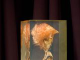 a glass box with a picture of a bird inside of it