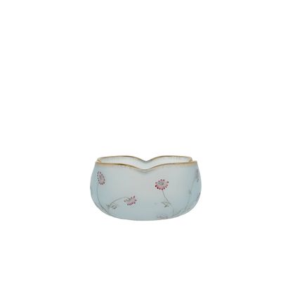 a close up of a bowl on a white background