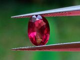 un gros plan d'un diamant rouge tenu par une pince