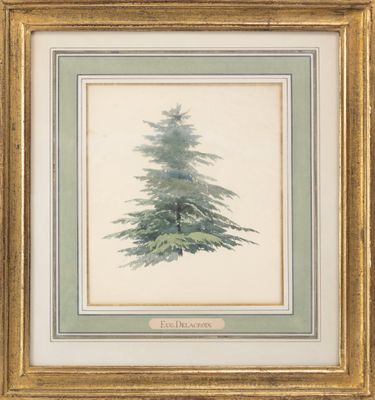 un tableau représentant un pin, dans un cadre doré