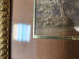 framed picture of a giraffe in a wooded area with a blue sky in the background