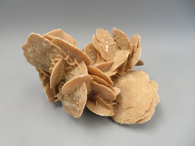 Rose des sables. Dimensions 14 x 20 x 17 cm