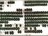many green beetles on display in a white display case