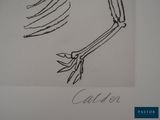 a picture of a drawing of a bird on a piece of paper
